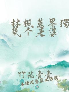 林枫万界独尊有几个老婆