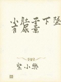 小肚子下坠感觉有尿意