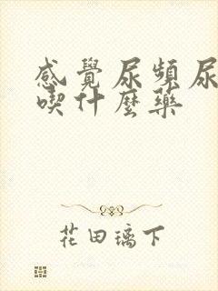 感觉尿频尿不尽吃什么药