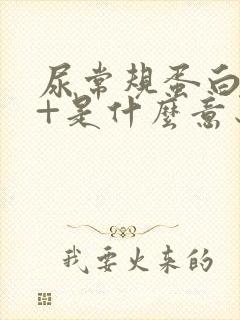 尿常规蛋白质3+是什么意思