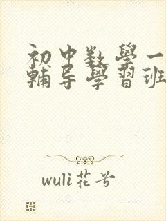 初中数学一对一辅导学习班