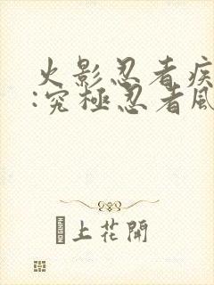 火影忍者疾风传:究极忍者风暴1