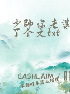 少帅你老婆又跑了全文txt