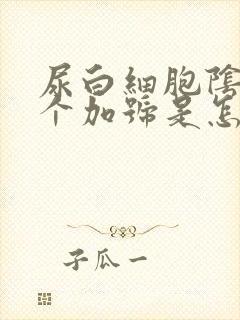 尿白细胞阴性一个加号是怎么回事