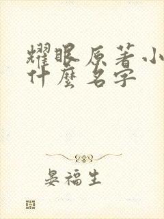 耀眼原著小说叫什么名字