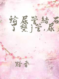 输尿管结石放置了双j管,尿疼尿频