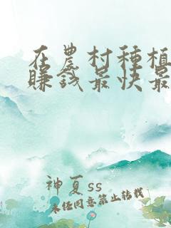 在农村种植什么赚钱最快最稳定