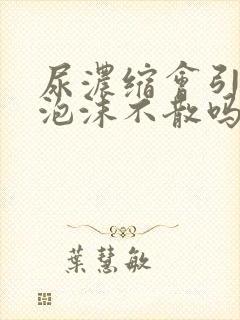 尿浓缩会引起尿泡沫不散吗