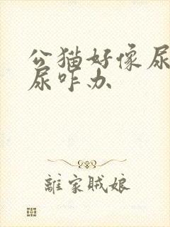 公猫好像尿不出尿咋办