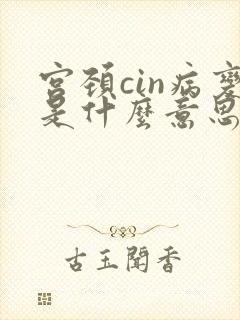 宫颈cin病变是什么意思