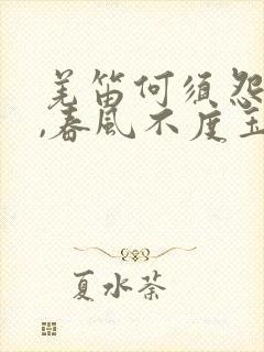 羌笛何须怨杨柳,春风不度玉门关翻译