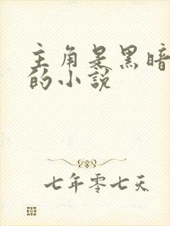 主角是黑暗戴拿的小说