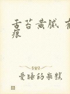 舌苔黄腻 有齿痕