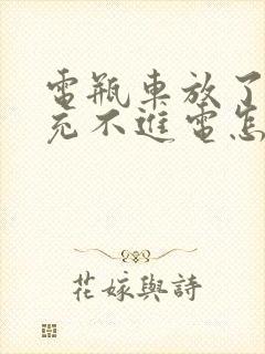 电瓶车放了几天充不进电怎么回事