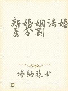 新婚姻法婚前财产分割