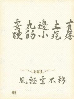 睾丸边上有个硬硬的小疙瘩