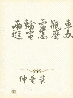 两轮电瓶车充不进电怎么办