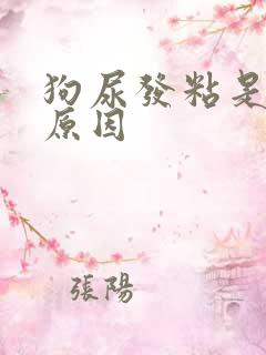 狗尿发粘是什么原因