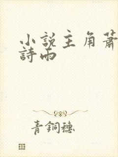 小说主角萧凡叶诗雨