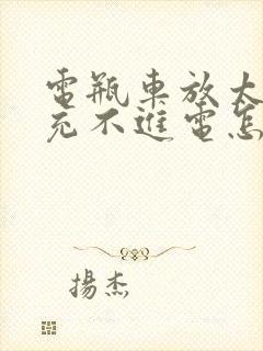 电瓶车放太久了充不进电怎么解决