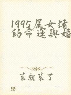 1995属女猪的命运与婚姻