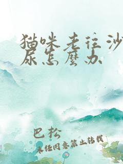 猫咪老往沙发上尿怎么办