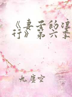 《妻子的浪漫旅行》第六季