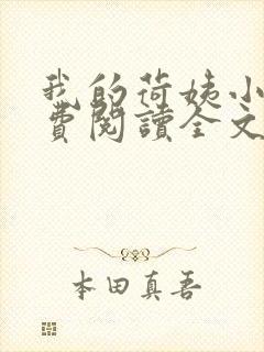 我的荷姨小说免费阅读全文