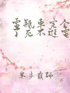 电瓶车完全没电了充不进电