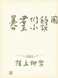 暴君们的团宠小公主小说