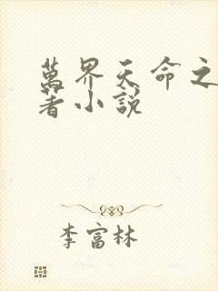 万界天命之子原著小说