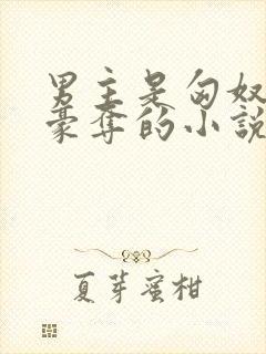 男主是匈奴强取豪夺的小说