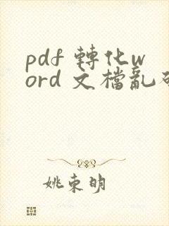 pdf 转化word 文档乱码了怎么办?
