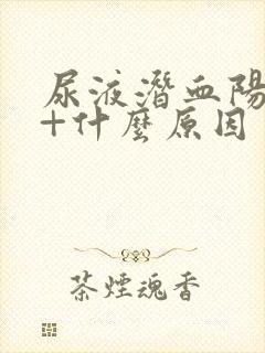 尿液潜血阳性1+什么原因