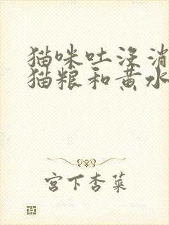 猫咪吐没消化的猫粮和黄水