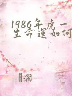 1986年虎一生命运如何