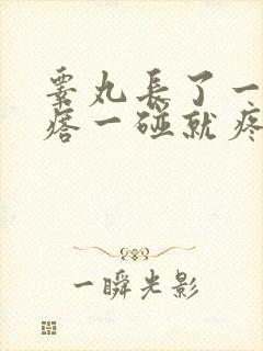 睾丸长了一个疙瘩一碰就疼