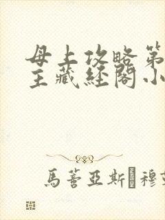母上攻略第一版主藏经阁小说网