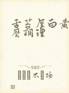 舌苔厚白黄是怎么调理