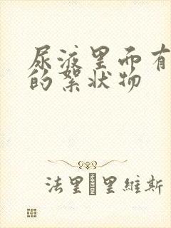 尿液里面有白色的絮状物