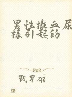 男性撒血尿是怎样引起的