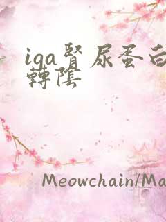 iga肾尿蛋白转阴