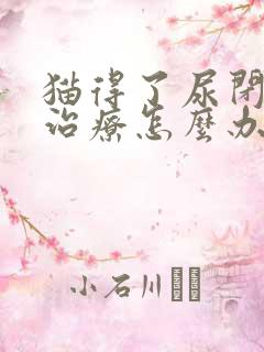 猫得了尿闭没钱治疗怎么办