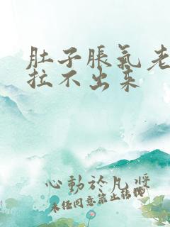 肚子胀气老放屁拉不出来