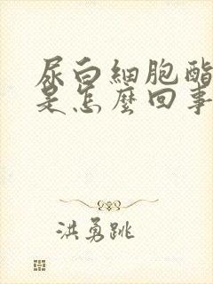 尿白细胞酯酶高是怎么回事