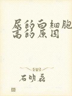 尿的白细胞计数高的原因