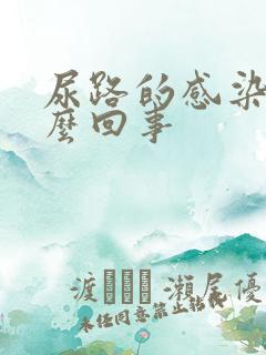 尿路的感染是怎么回事