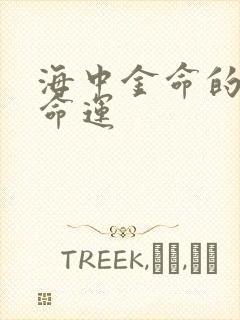 海中金命的女人命运