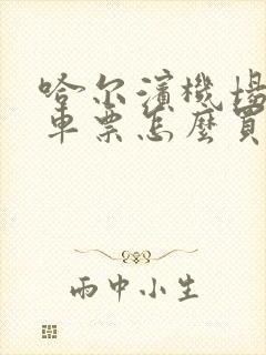 哈尔滨机场大巴车票怎么买票