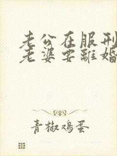 老公在服刑期间老婆要离婚可以吗